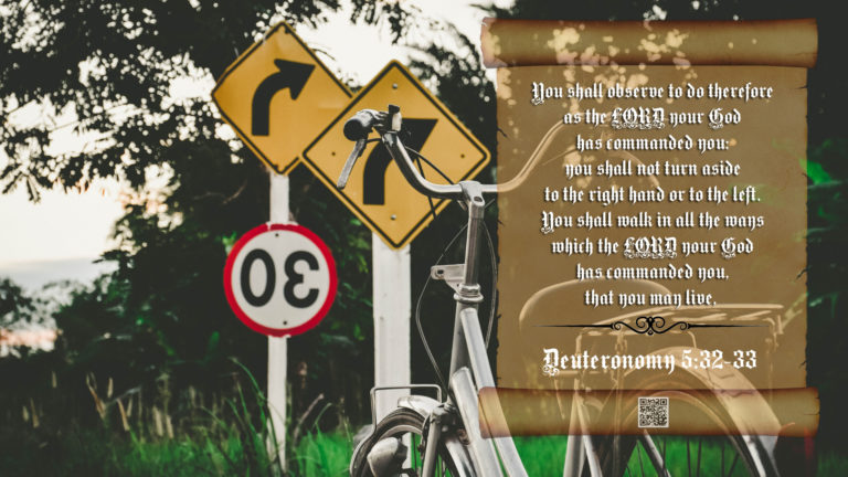 deuteronomy 5 32-33 ( niv