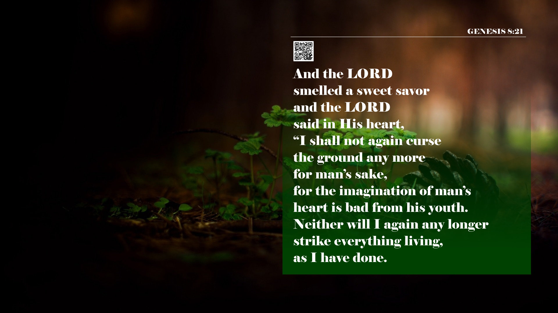 Genesis 8.21 | This Is TRUTH