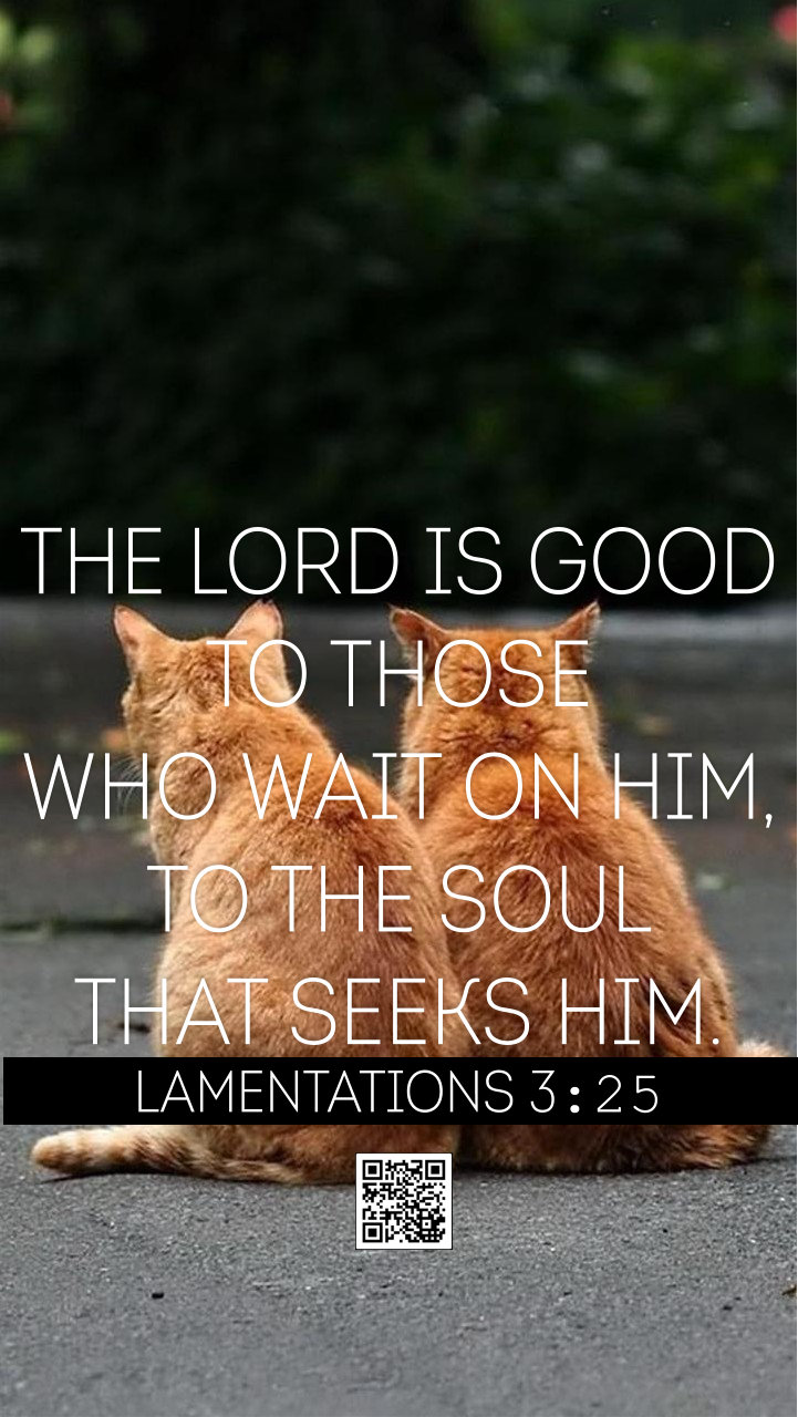 Lamentations 3 25 Daily Holy Bible Reading