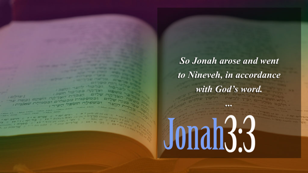 613 MITZVOT (Commandments) 203 to 209 | This Is TRUTH