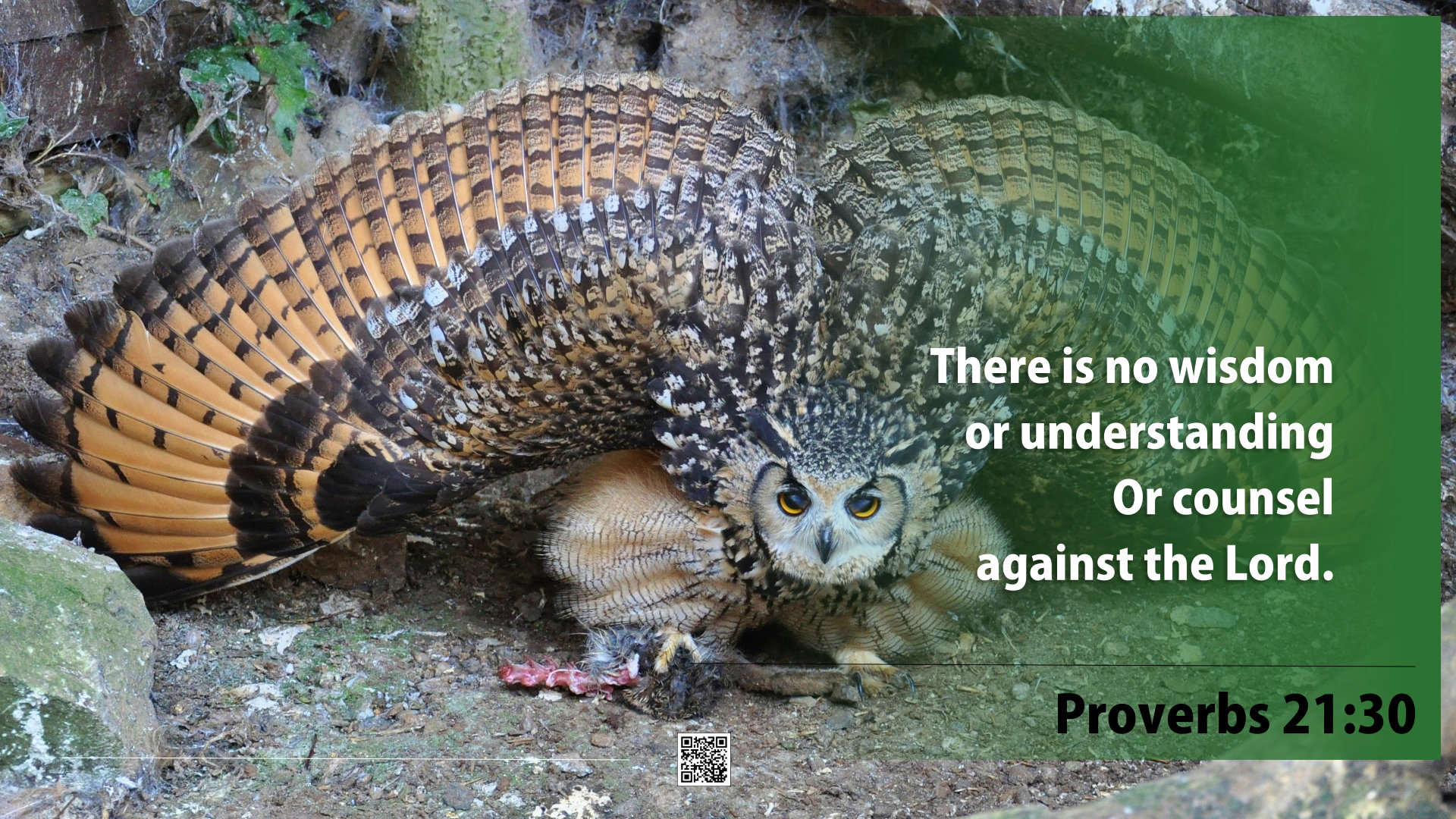 Proverbs 21.30 | This Is TRUTH