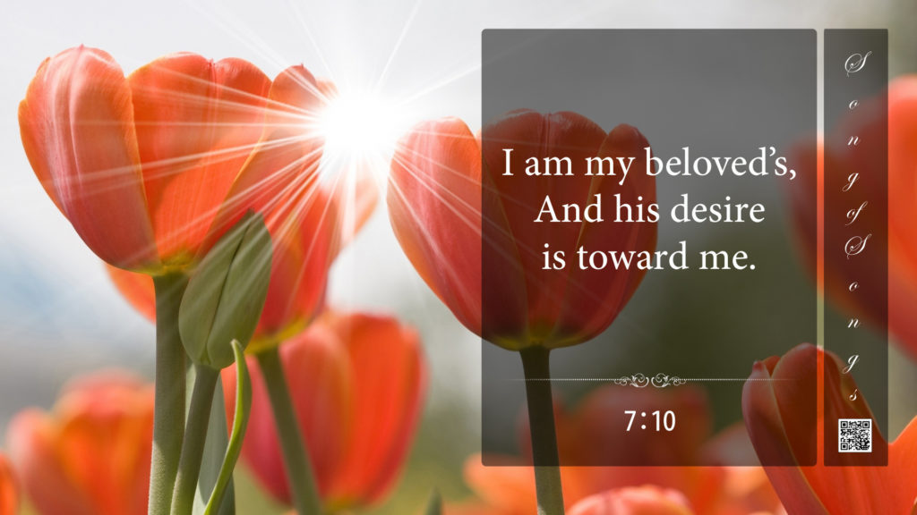 The Song of Songs 7.10 This Is TRUTH