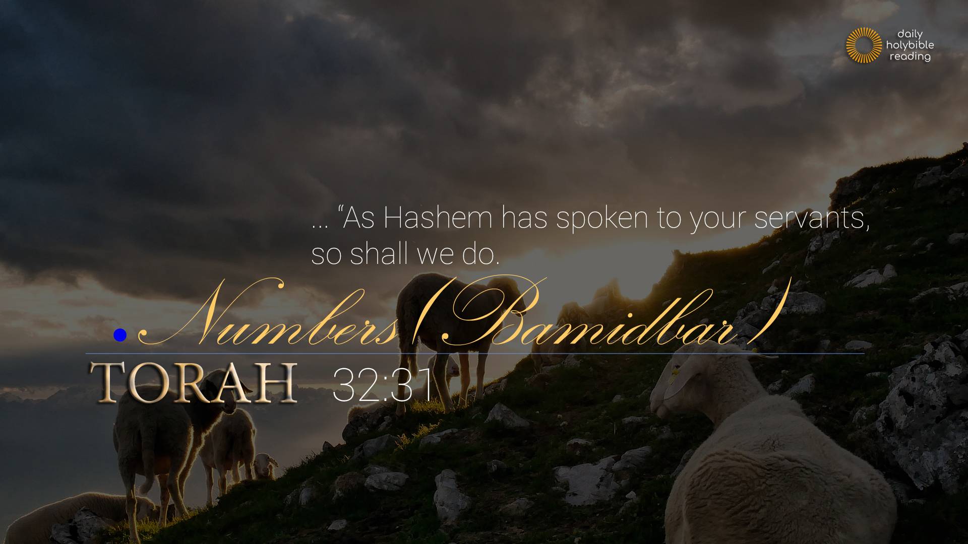 613 MITZVOT (Commandments) Wallpapers | Daily Holy Bible Reading