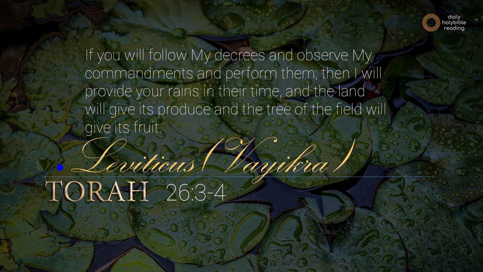 613 MITZVOT (Commandments) Category | This Is TRUTH