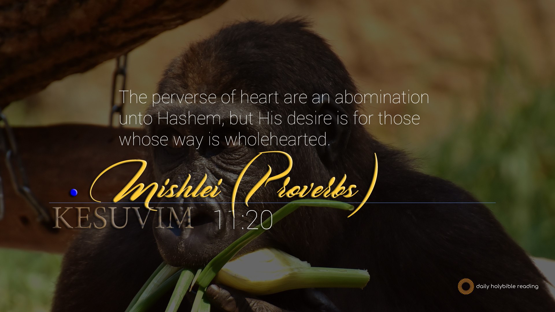 Proverbs Chapter 11 This Is Truth