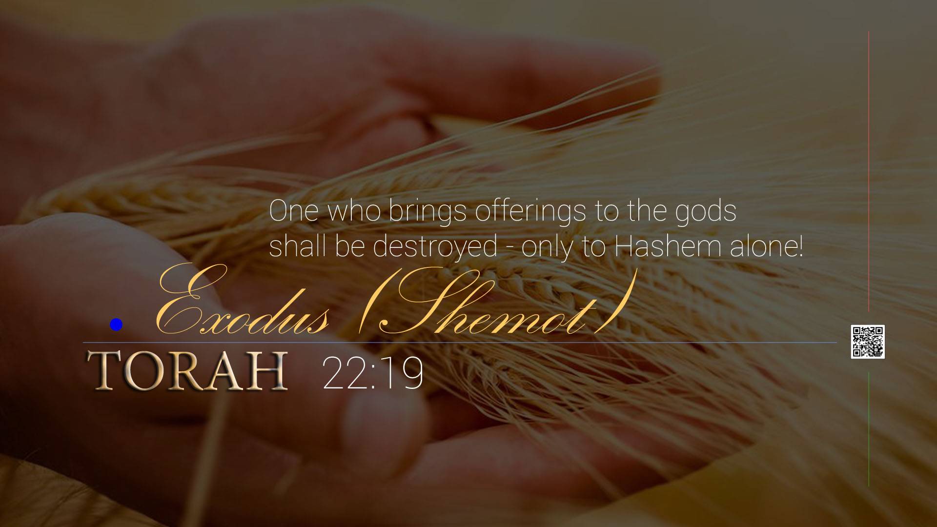 Exodus Bible Reading On The Go In Text And Audio