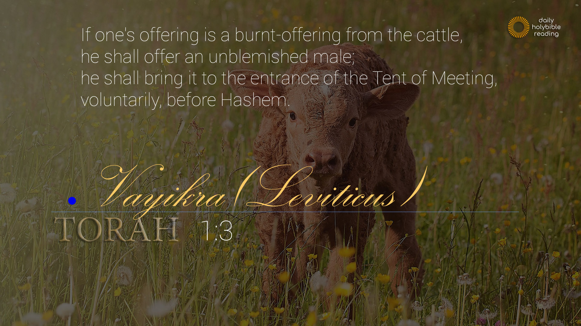 Exodus Chapter 5 This Is Truth