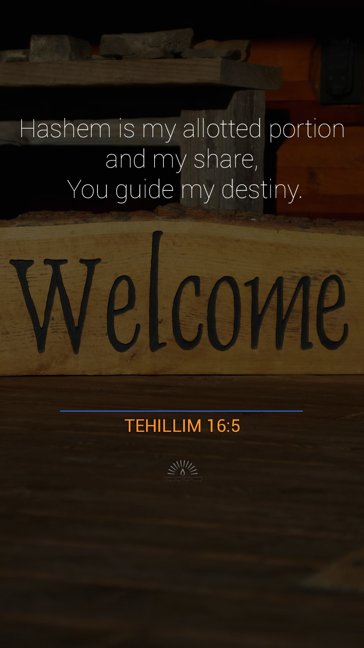 Psalms Chapter 16 Daily Holy Bible Reading