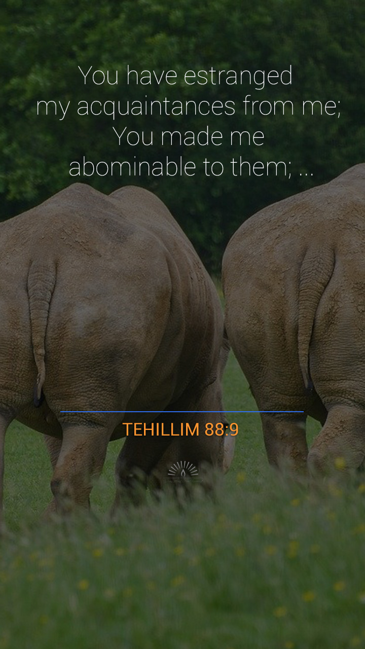 Psalms Chapter 88 Daily Holy Bible Reading psalms-chapter-88-daily-holy-bible-reading