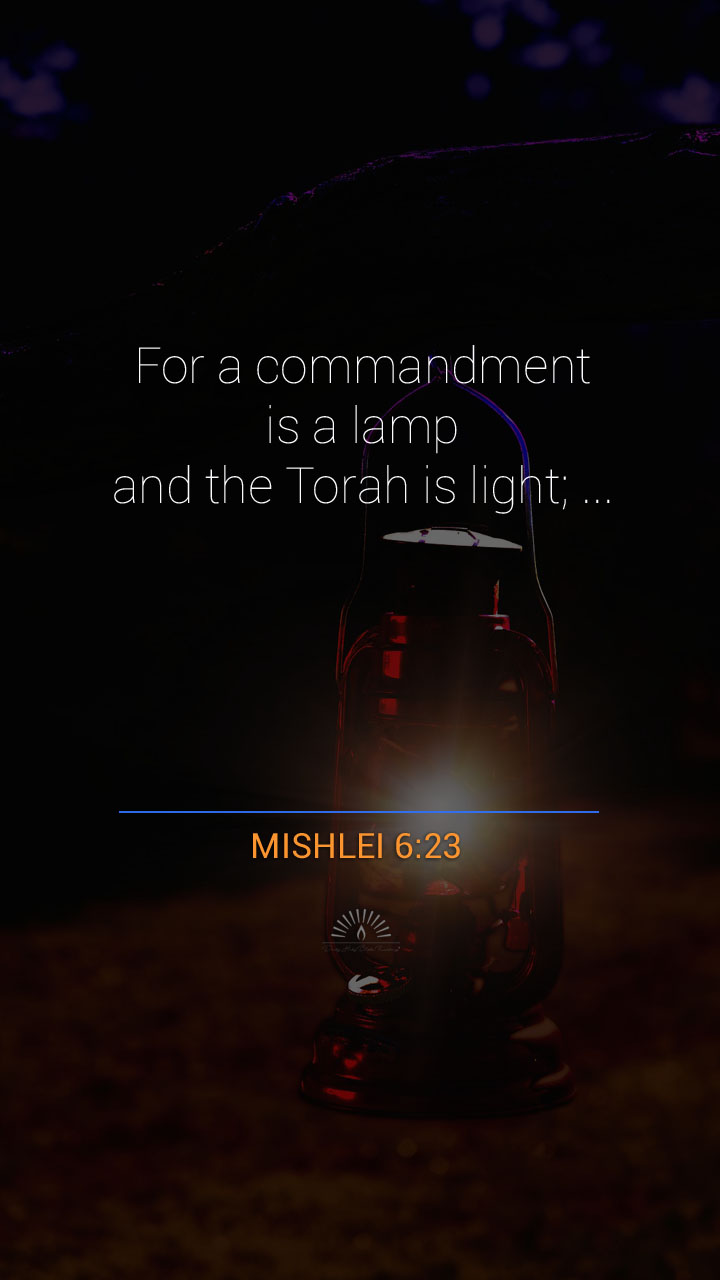 Proverbs chapter 6 daily holy bible reading