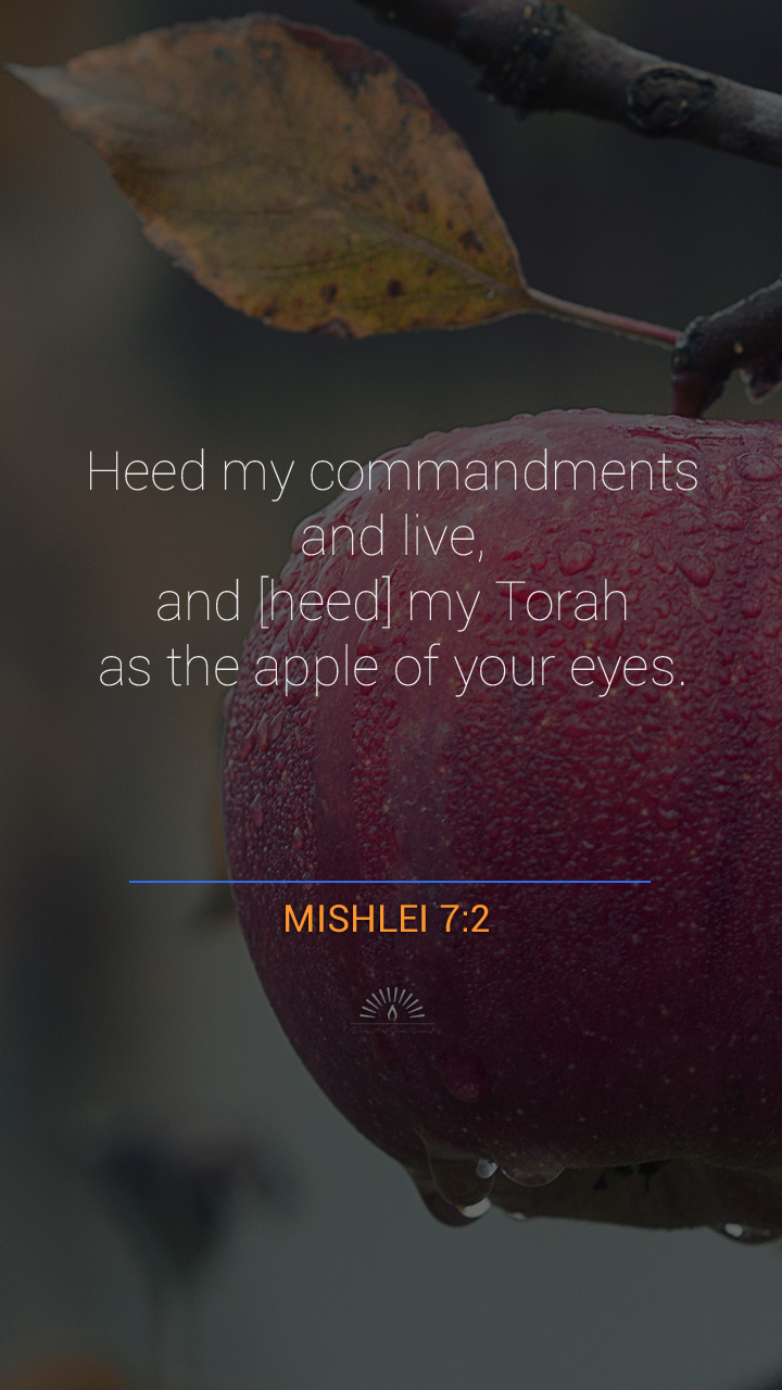 Proverbs Chapter 7 Proverbs On Evil Inclination One Chapter A Day