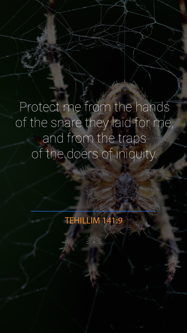 Psalms Chapter 141 Daily Holy Bible Reading