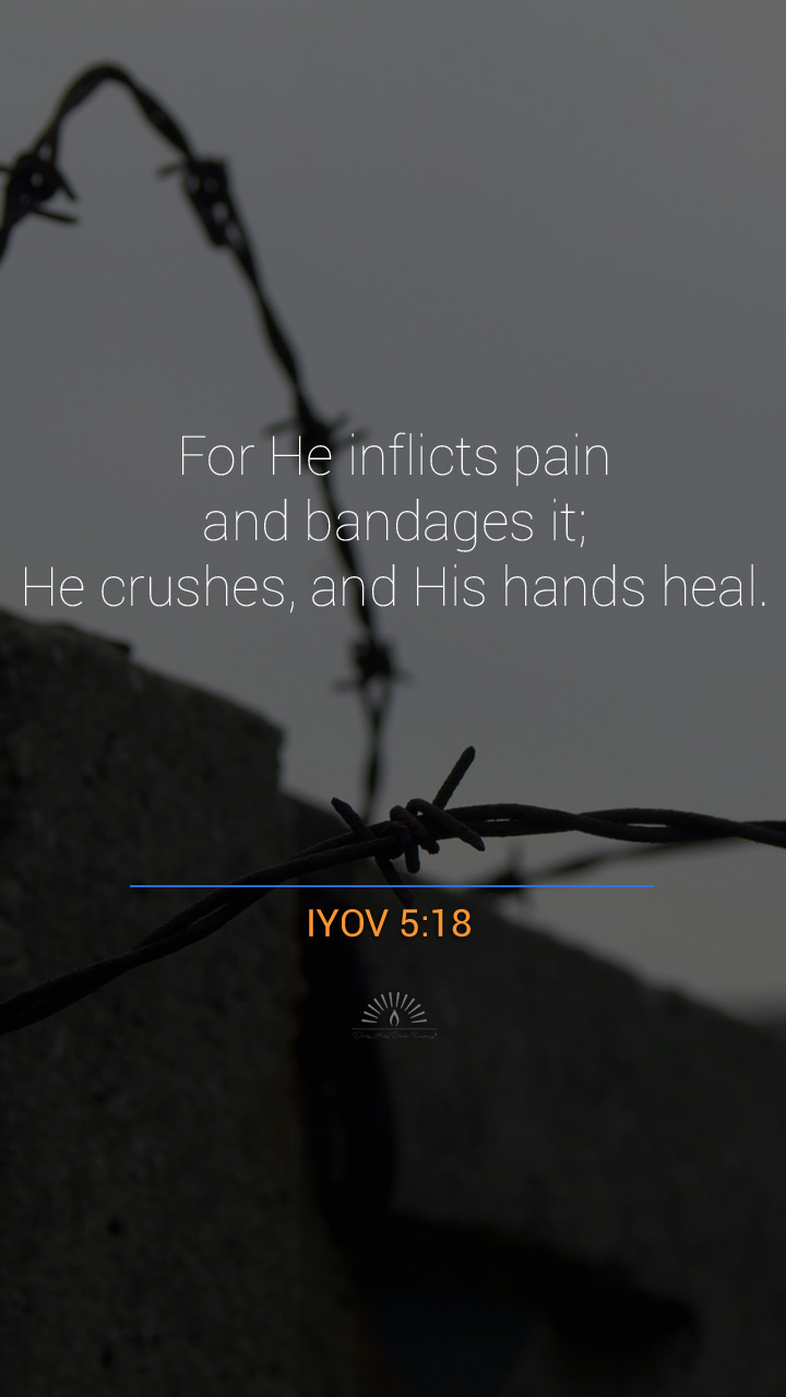 Job Chapter 5 Daily Holy Bible Reading