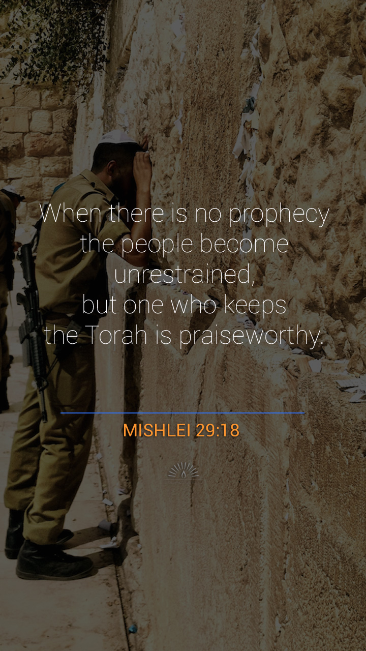 summary of proverbs chapter 29