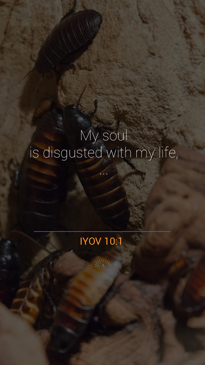 Job Chapter 10 | Daily Holy Bible Reading