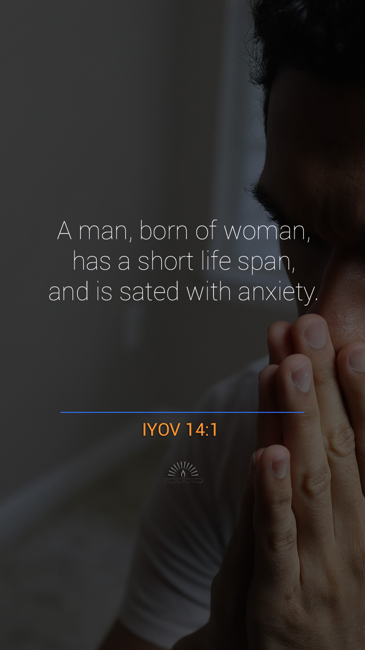 Job Chapter 14 | Daily Holy Bible Reading