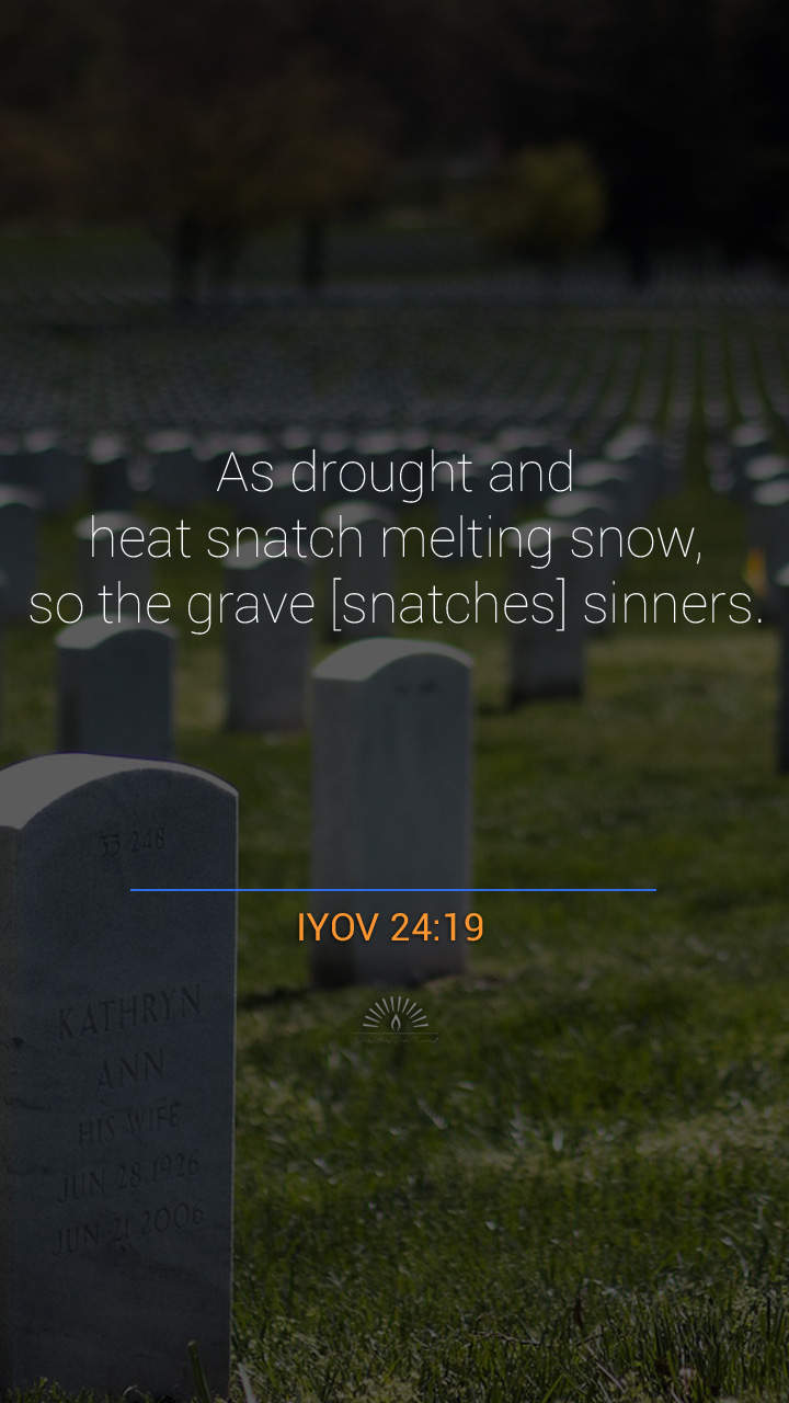 Job Chapter 24 | Daily Holy Bible Reading