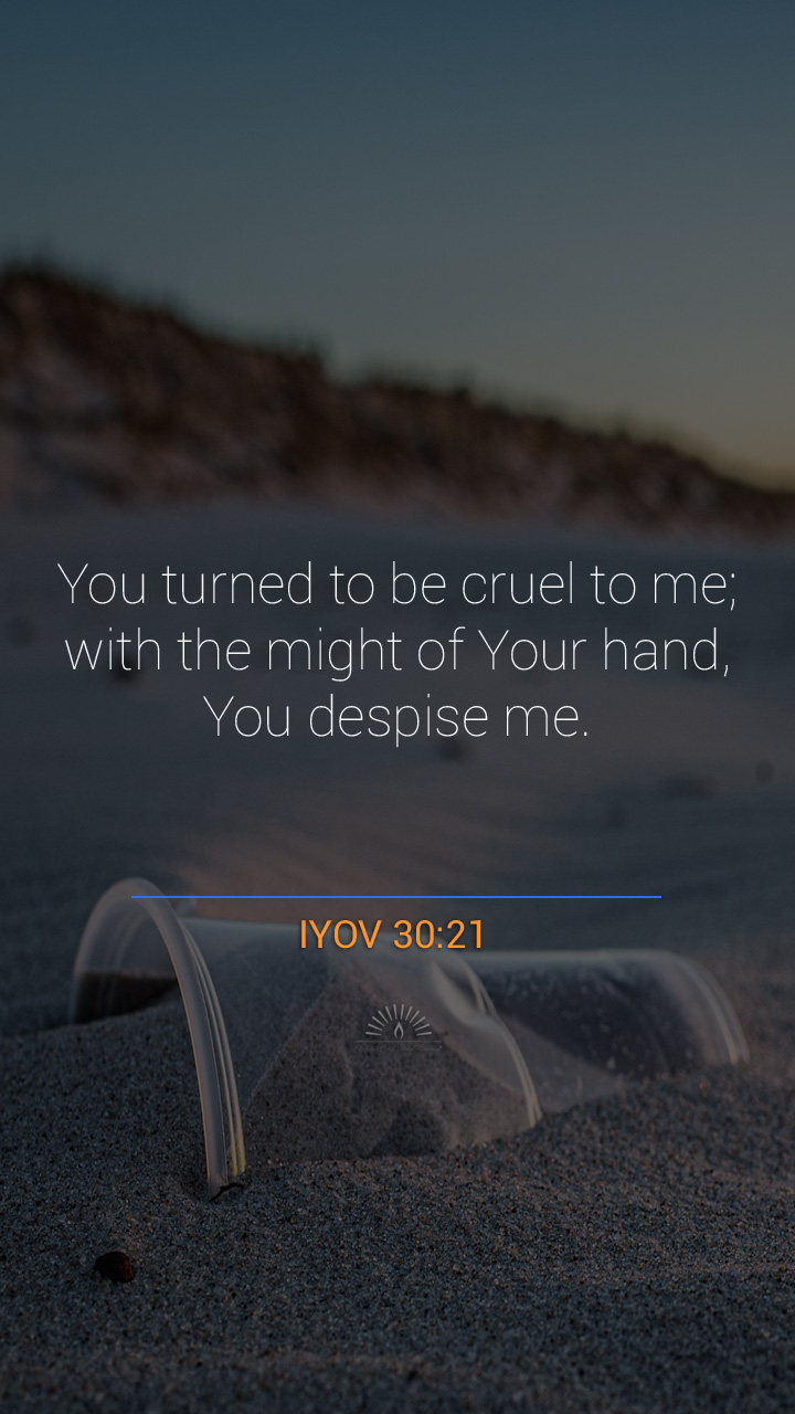 Job Chapter 30 | Job And His Ultimate | One Chapter A Day