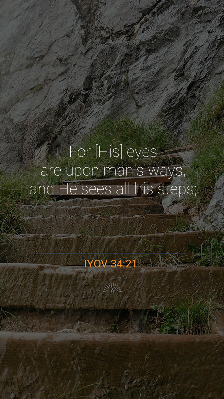 Job Chapter 34 | Daily Holy Bible Reading