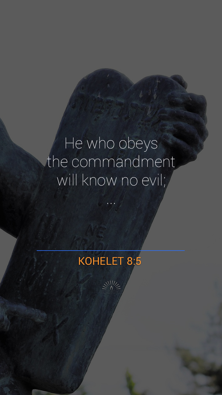 ecclesiastes chapter 8 summary