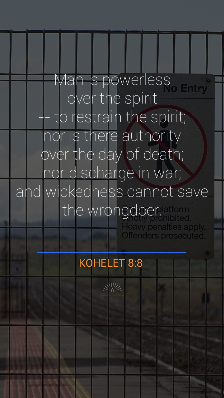 Ecclesiastes Chapter 8 | Daily Holy Bible Reading