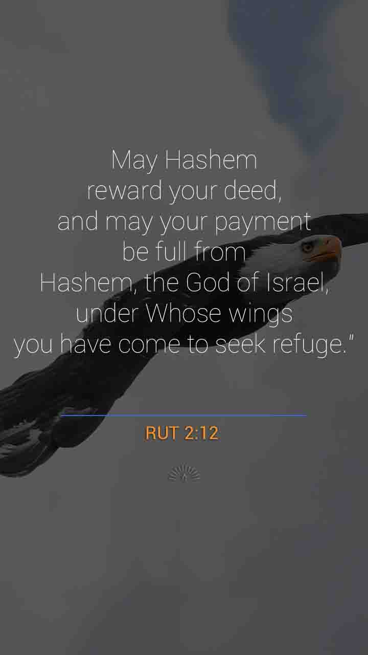 Ruth Chapter 2 | Ruth Finds Favor | One Chapter A Day