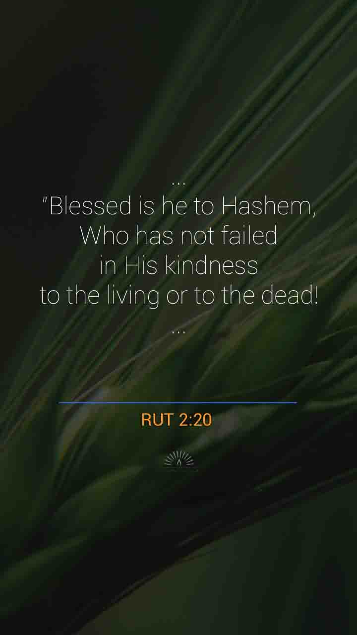 Ruth chapter 2 daily holy bible reading