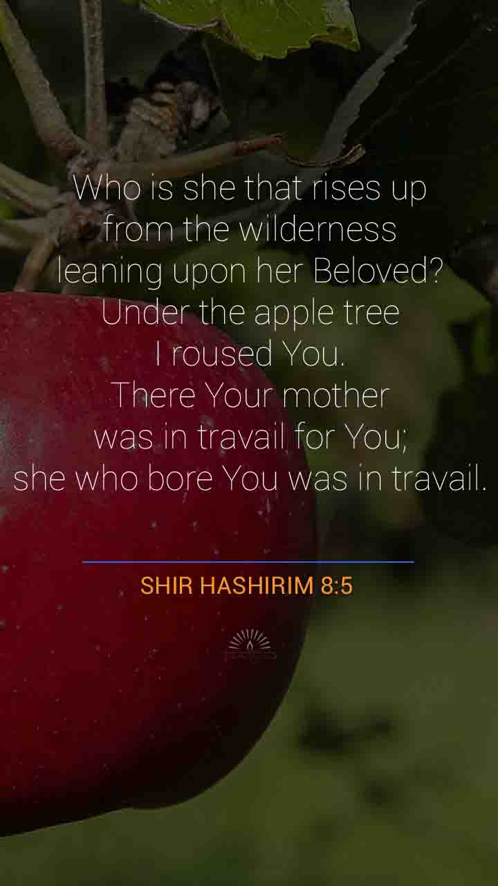 Song of Songs Chapter 8 | Song of Songs Chapter 8 (Last chapter) | One ...
