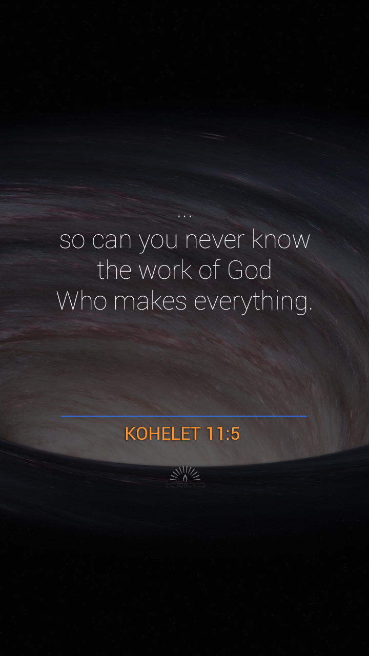 Ecclesiastes Chapter 11 Daily Holy Bible Reading