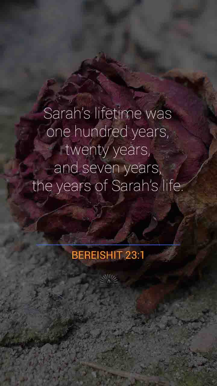 genesis chapter 10 verse 23