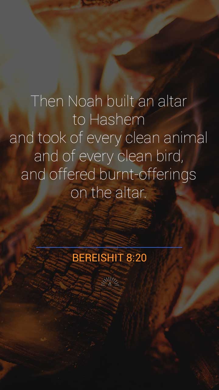 GENESIS Chapter 8 | Daily Holy Bible Reading