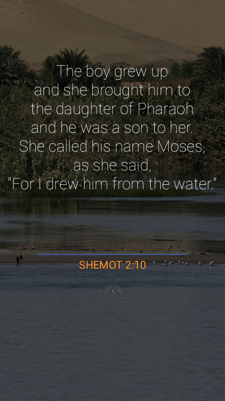 Exodus Chapter 2 One Chapter A Day