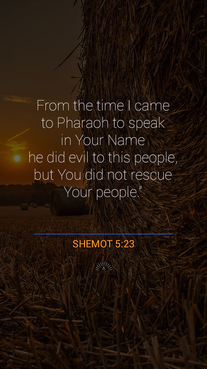 Exodus Chapter 5 Daily Holy Bible Reading