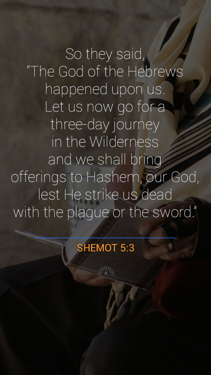 Exodus Chapter 5 One Chapter A Day