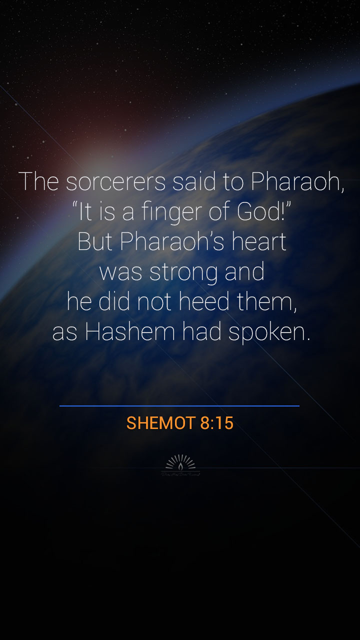 Exodus Chapter 8 Daily Holy Bible Reading