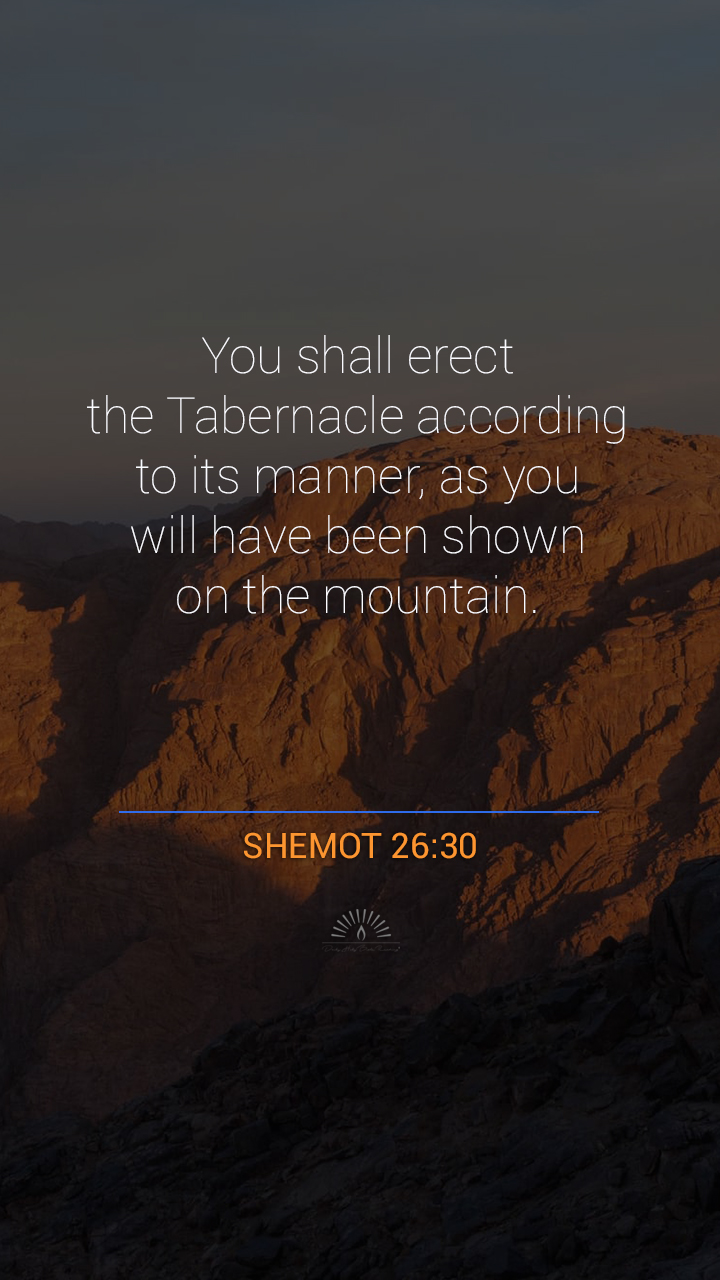 Exodus Chapter 26 One Chapter A Day