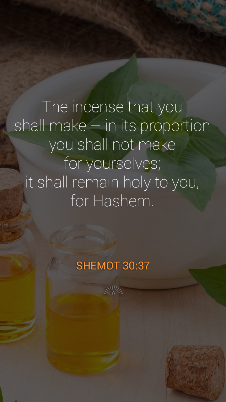 Exodus Chapter 30 Daily Holy Bible Reading