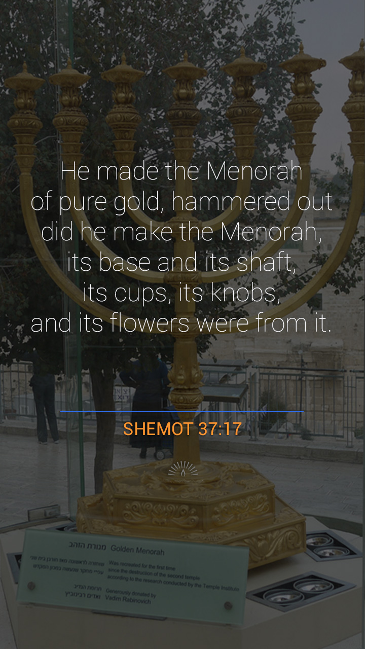 Exodus Chapter 37 Daily Holy Bible Reading