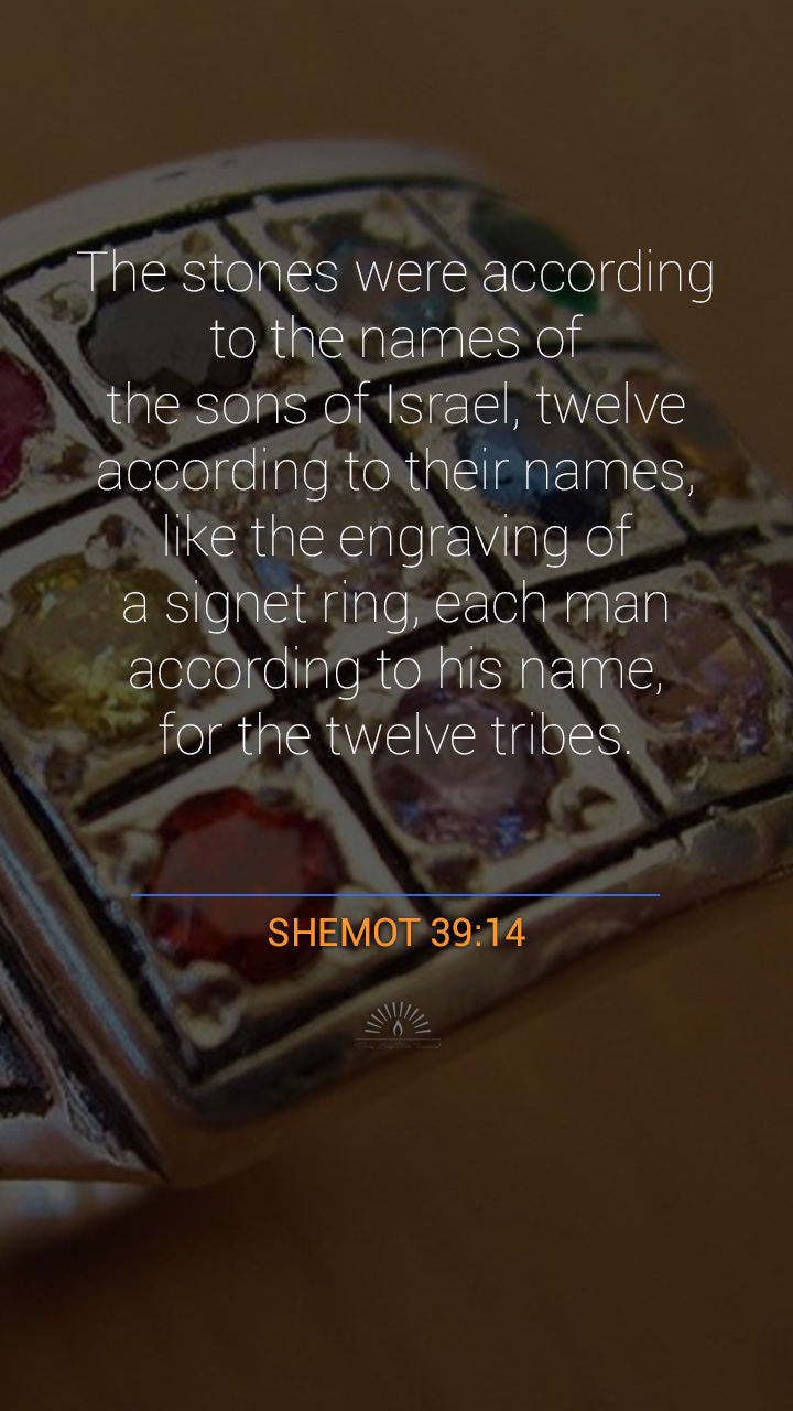 Exodus Chapter 39 Daily Holy Bible Reading