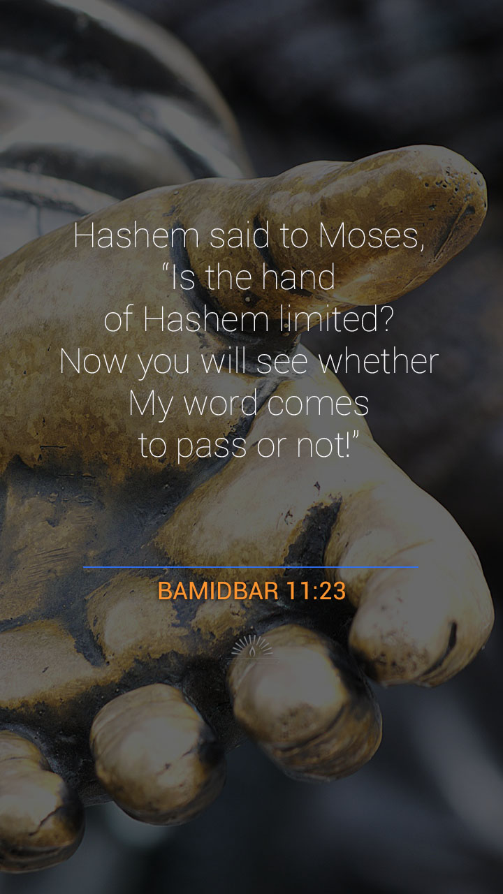 Numbers Chapter 11 | One Chapter A Day