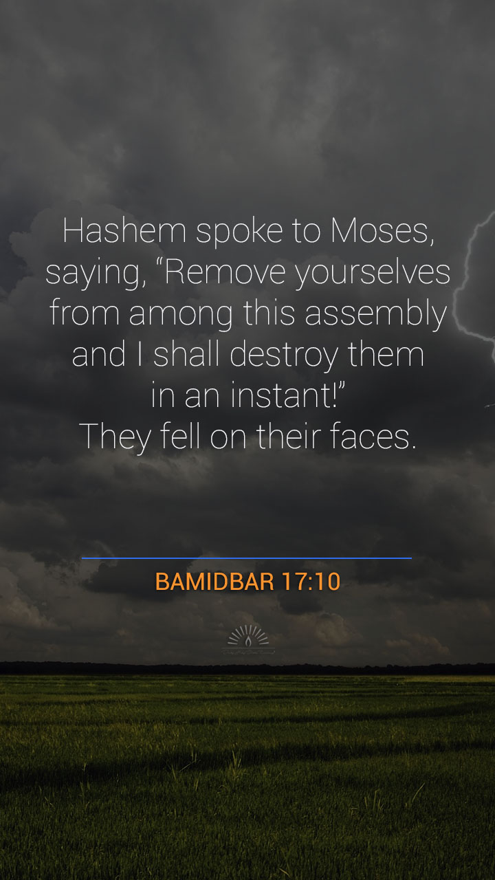 NUMBERS Chapter 17 Daily Holy Bible Reading