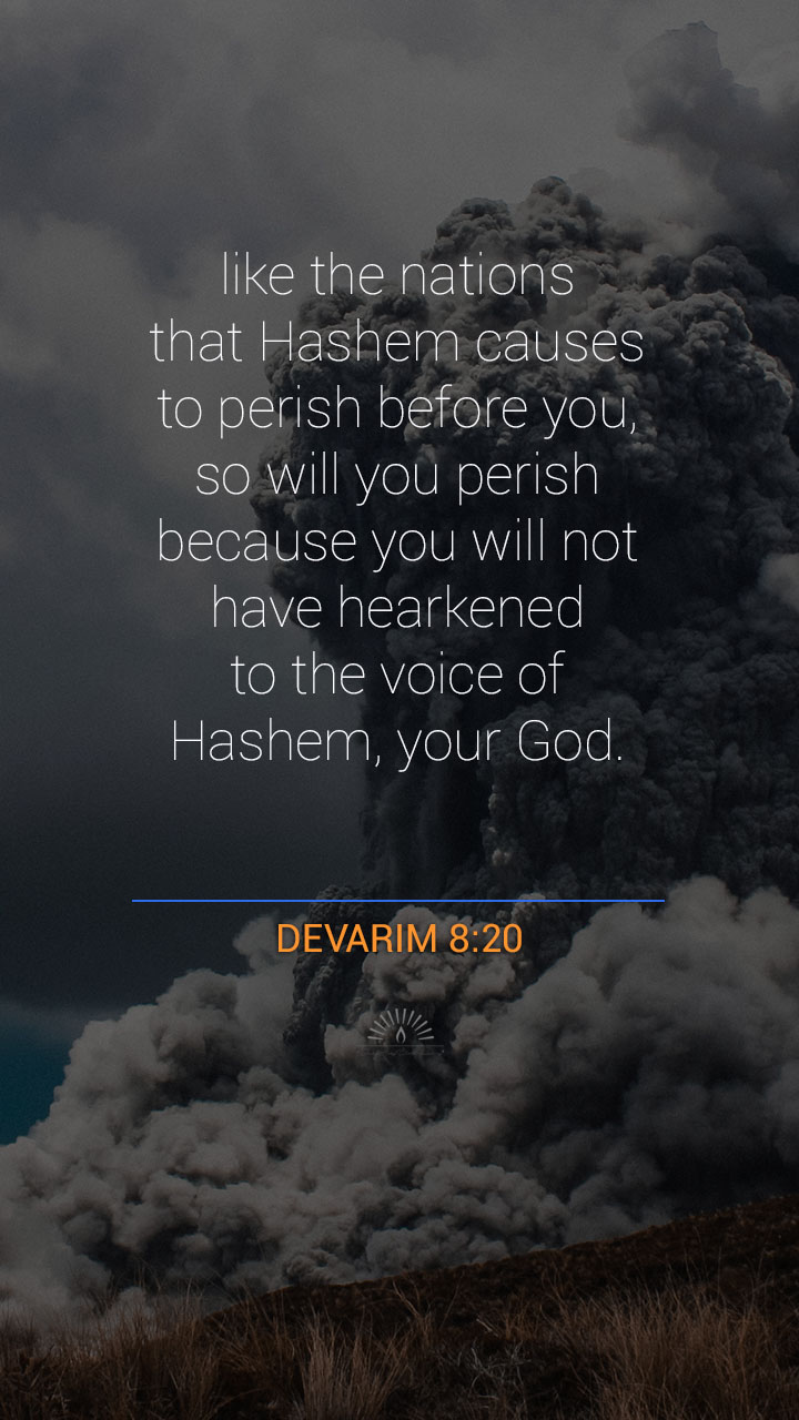 DEUTERONOMY Chapter 8 | Daily Holy Bible Reading