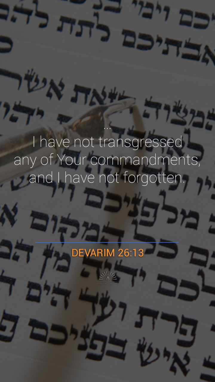 Deuteronomy Chapter 26 One Chapter A Day