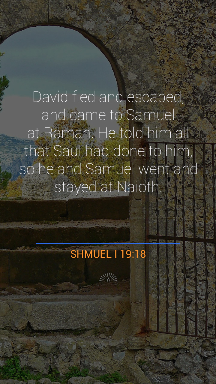 1 Samuel Chapter 19 Daily Holy Bible Reading