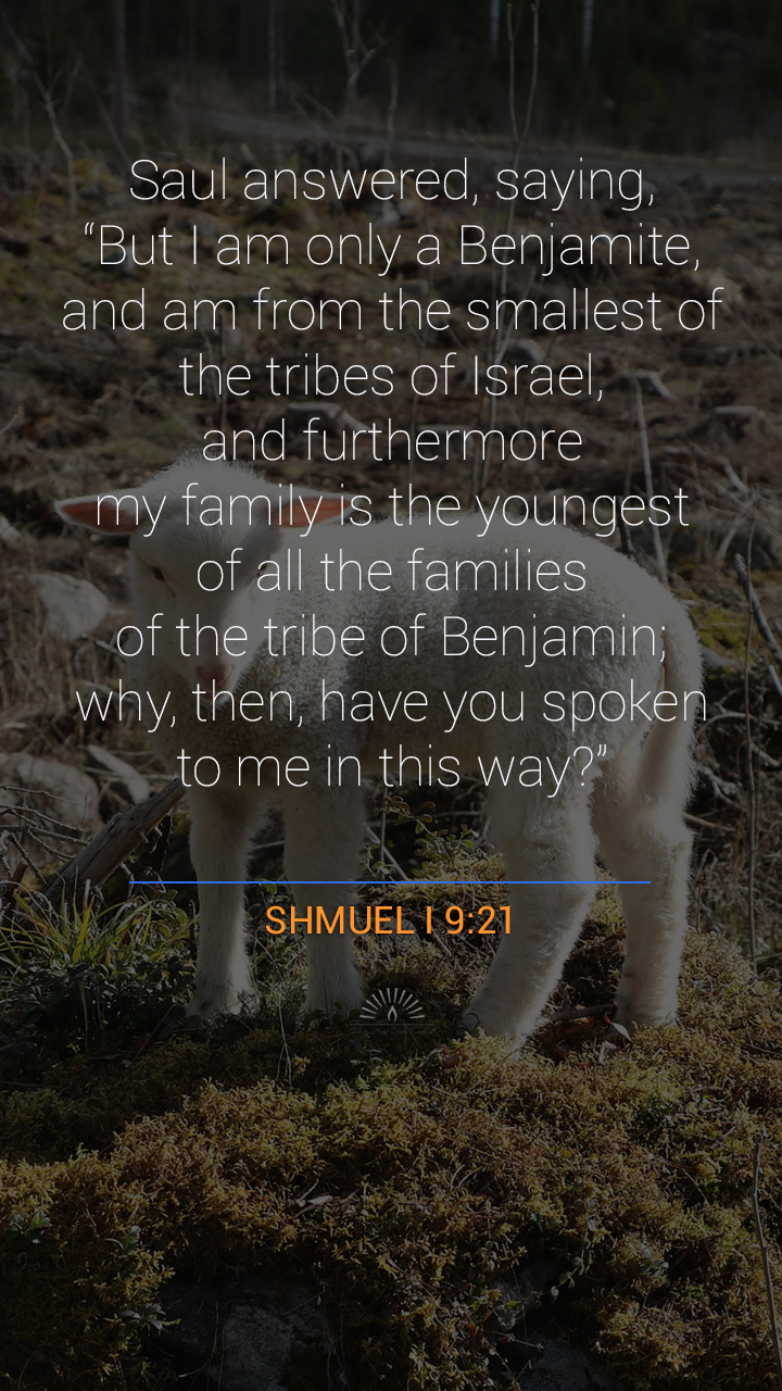 1 SAMUEL Chapter 9 | Daily Holy Bible Reading
