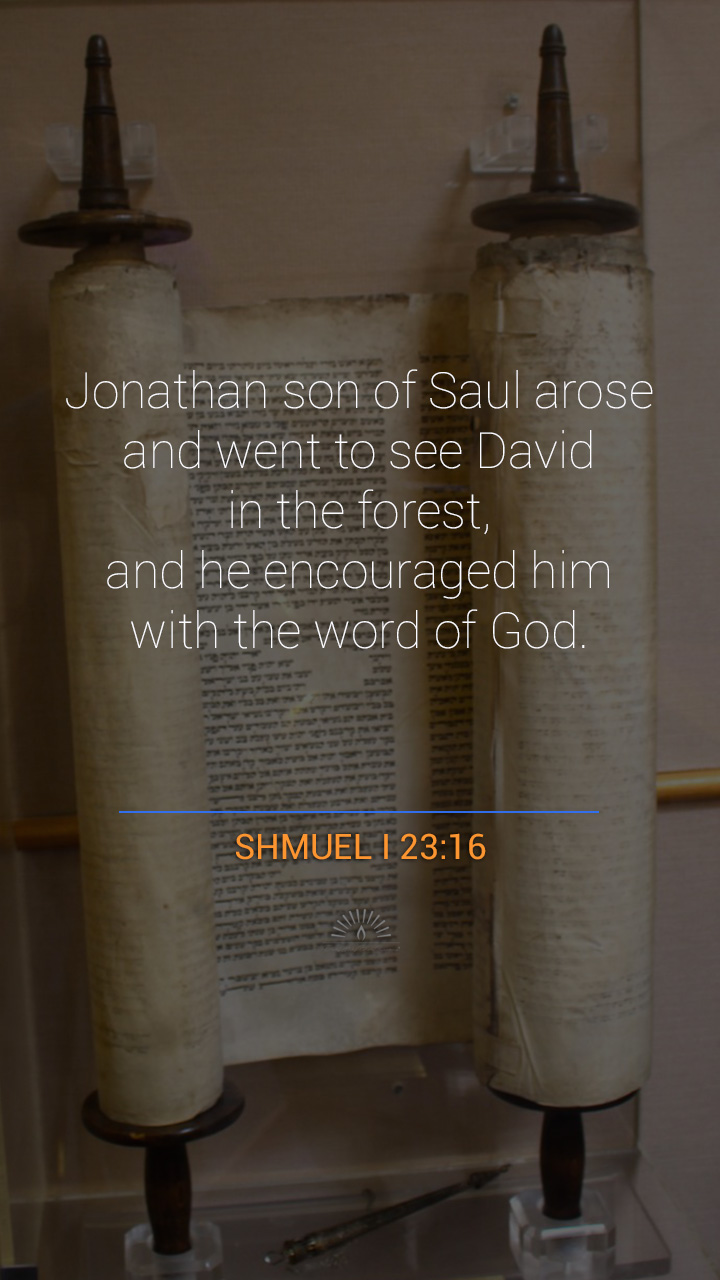 1 SAMUEL Chapter 23 | Daily Holy Bible Reading