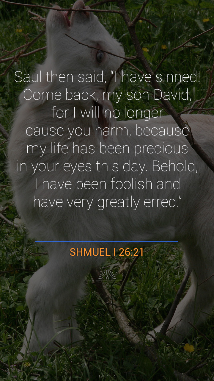1 SAMUEL Chapter 26 | Daily Holy Bible Reading