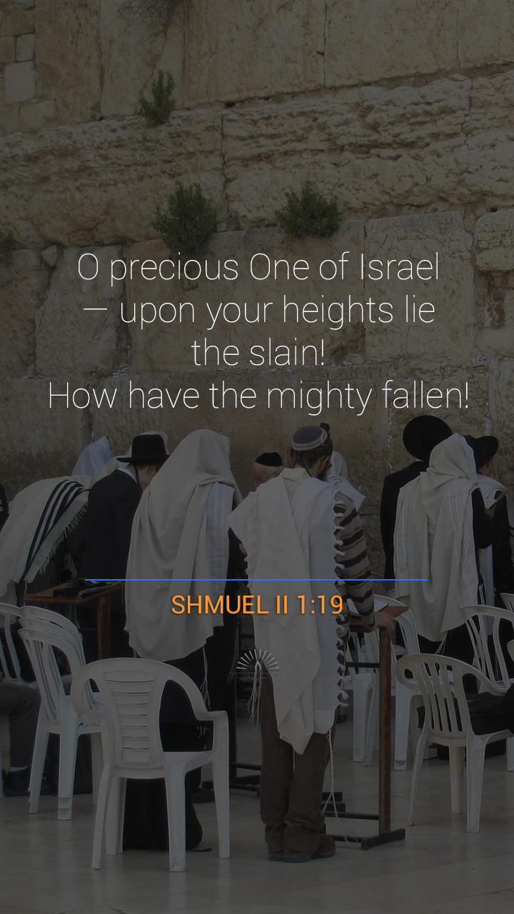 II SAMUEL Chapter 2 | Daily Holy Bible Reading