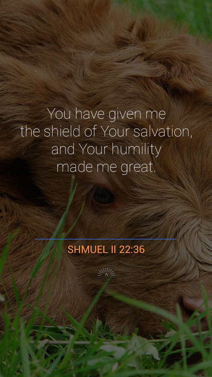 II SAMUEL Chapter 22 | Daily Holy Bible Reading