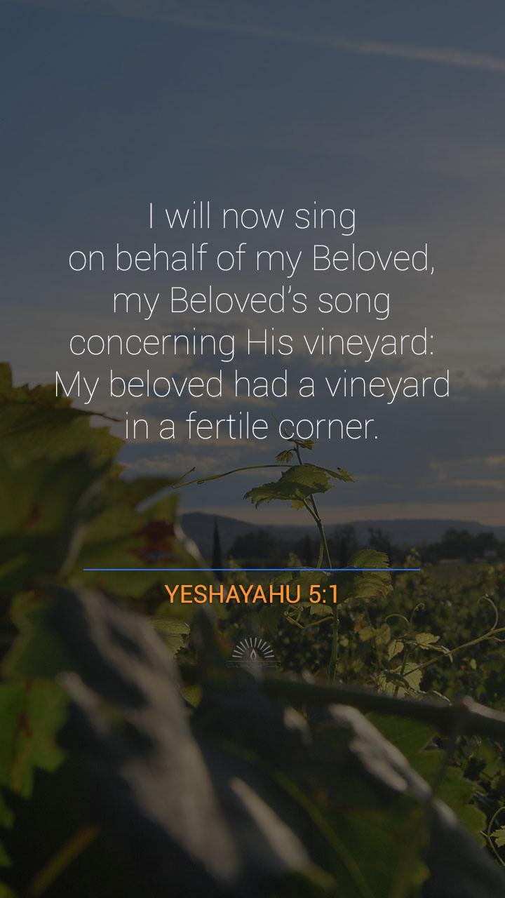 Isaiah Chapter 5 | Daily Holy Bible Reading